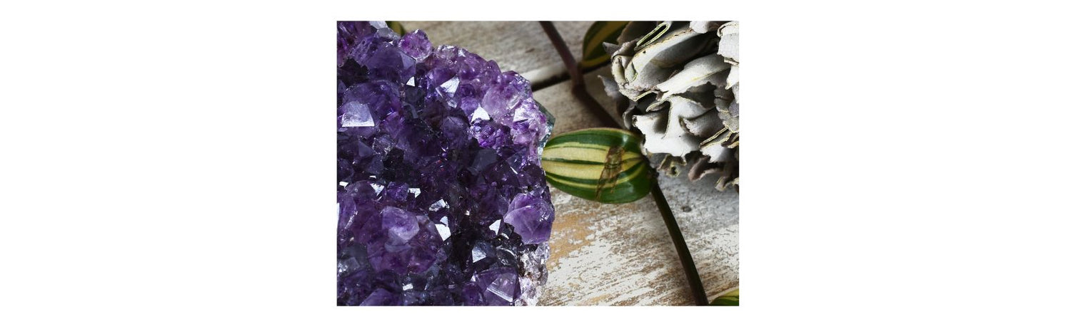 Beautiful Amethyst Cluster with plant and wood background