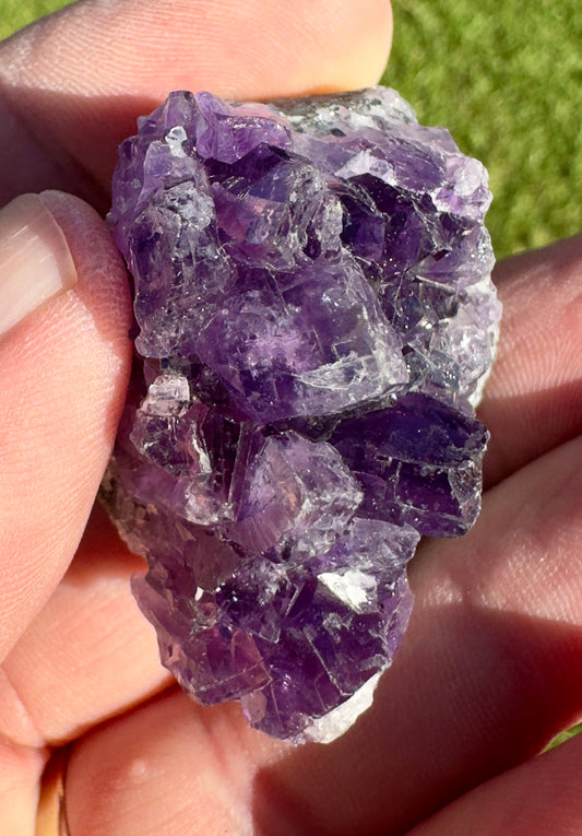 Davinas amethyst raw crystal cluster held between fingers with vibrant purple crystal formations