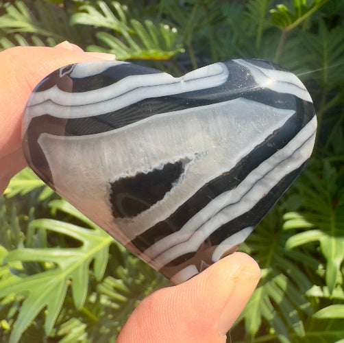 Black Stripe Agate Heart stone with white and black banded patterns held against green foliage background