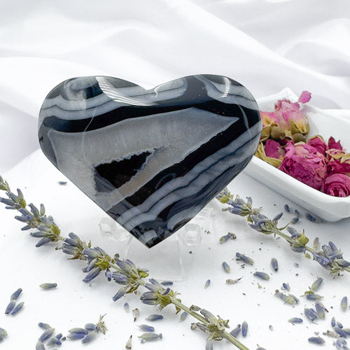 Polished Black Stripe Agate Heart stone displayed with dried lavender and rose petals