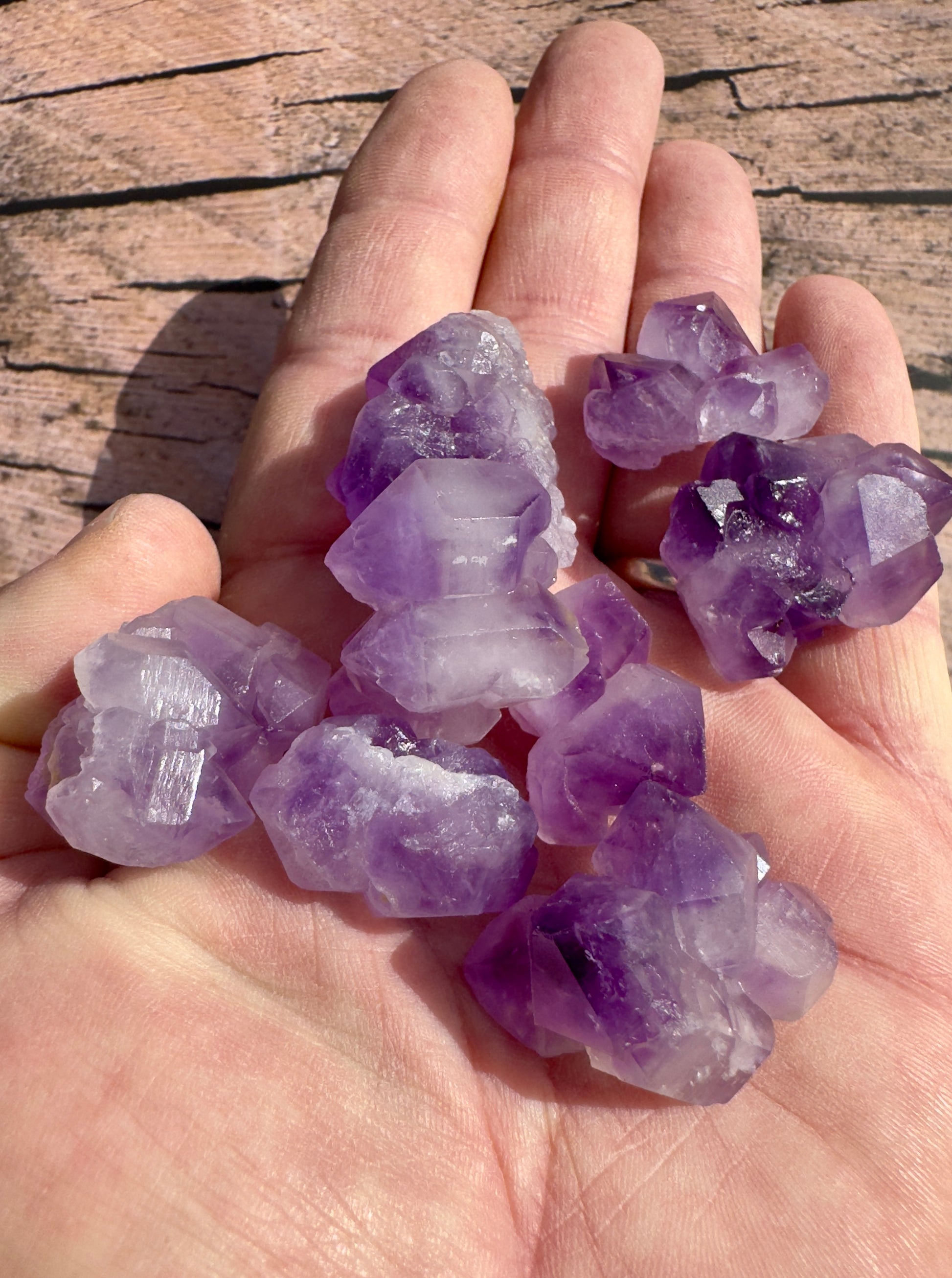 Hand holding multiple purple amethyst mini clusters natural crystals to buy amethyst mini clusters