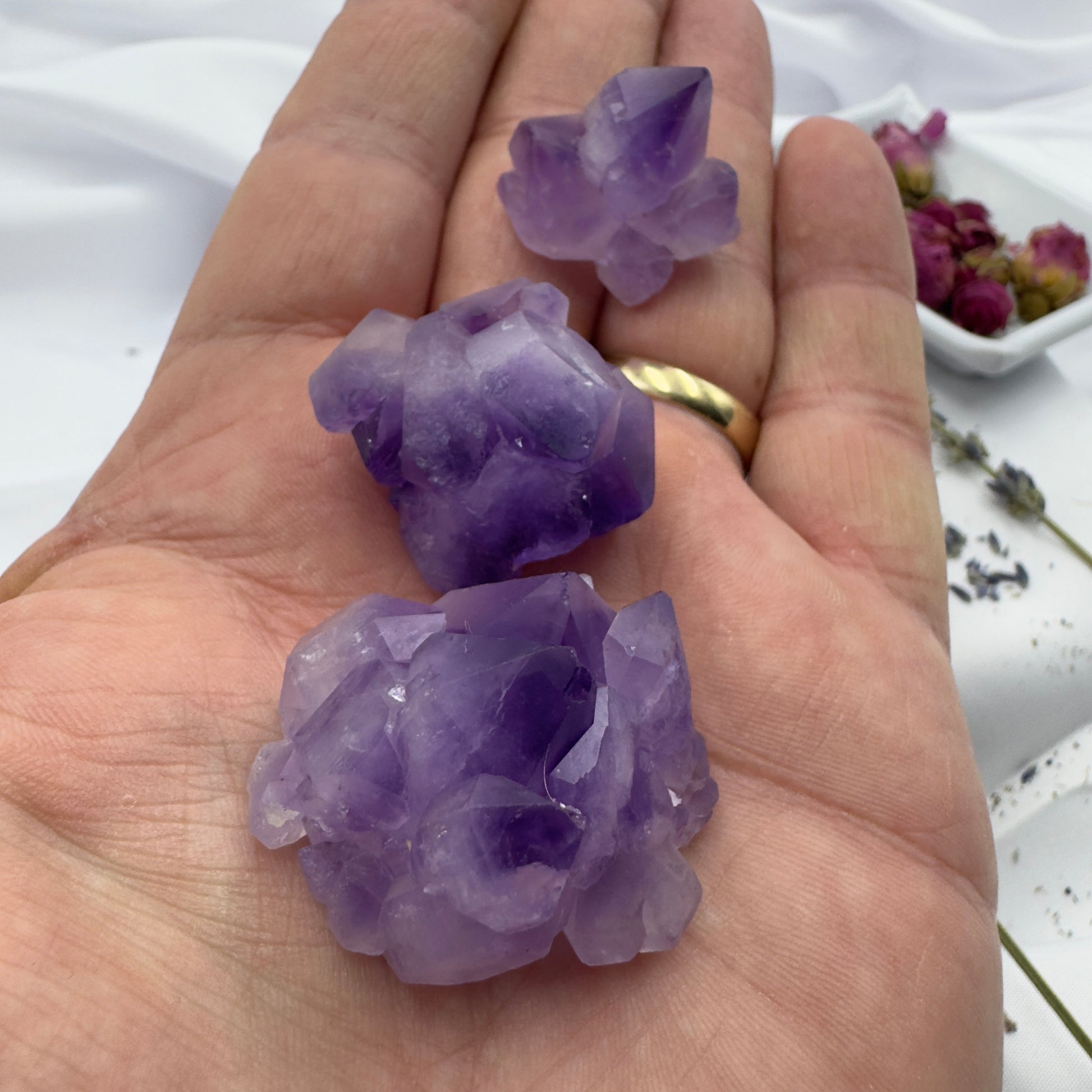 Hand holding three purple amethyst mini clusters with natural crystal formations to buy amethyst mini clusters