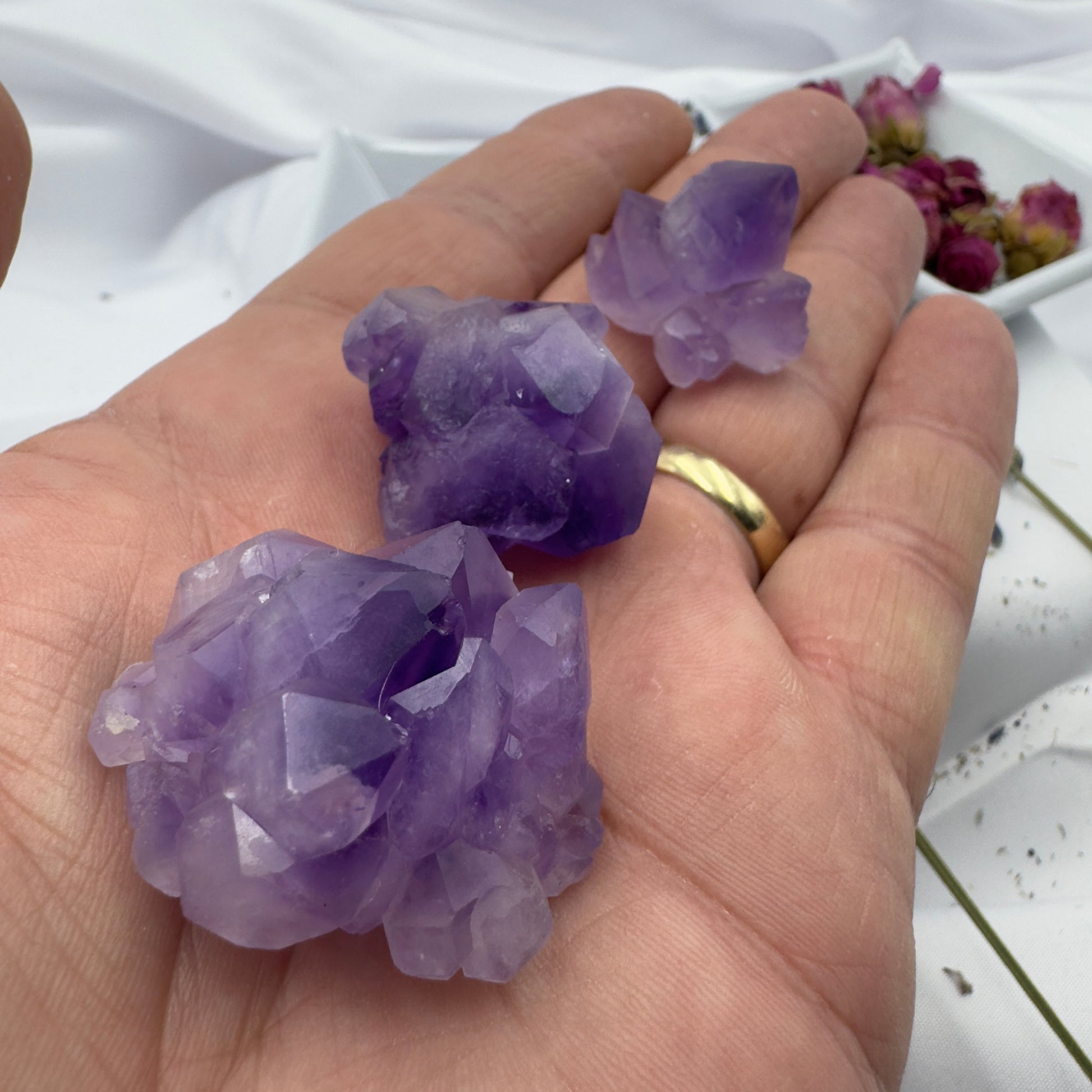 Hand holding three purple amethyst mini clusters crystals to buy amethyst mini clusters from Davinas