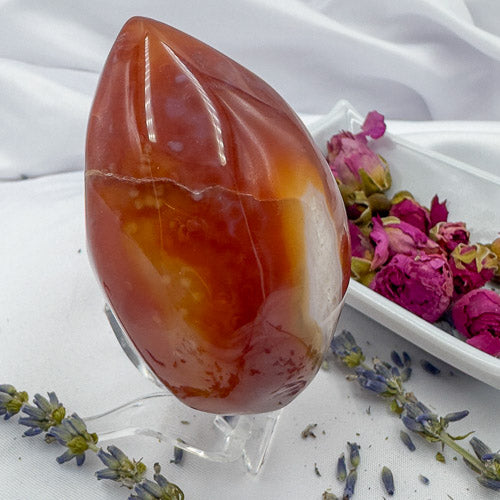 Carnelian Geode Druzy Freeform polished stone by Davinas on clear stand with dried flowers