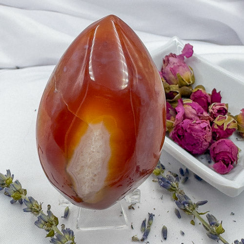 Davinas Carnelian Geode Druzy Freeform stone with rich orange and white crystal patterns displayed on clear stand