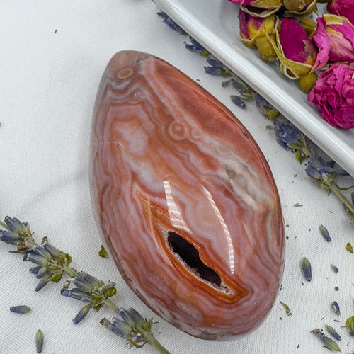 Polished Carnelian Geode Druzy Freeform stone with orange and white banding surrounded by dried flowers