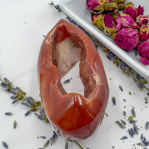 Davinas Carnelian Geode Druzy Freeform with polished orange surface and sparkling crystal interior on white background with dried flowers
