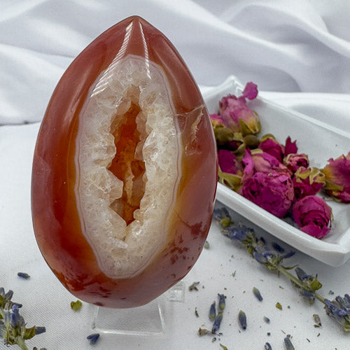 Davinas Carnelian Geode Druzy Freeform with vibrant orange and white crystal formations on display