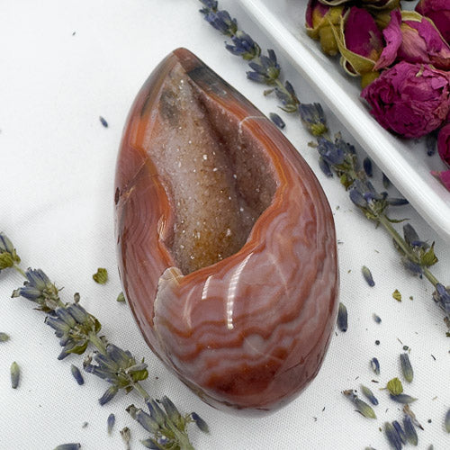 Polished Carnelian Geode Druzy Freeform with natural crystal interior on white cloth with dried flowers