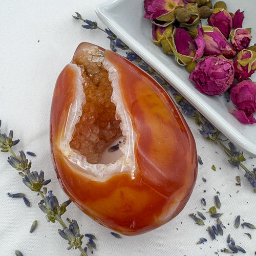 Davinas Carnelian geode druzy polished stone with orange crystal interior beside dried flowers