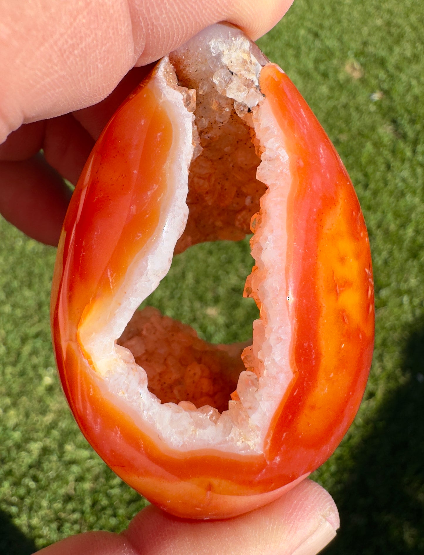 Hand holding a vibrant orange Carnelian geode druzy with sparkling crystal interior against green grass background