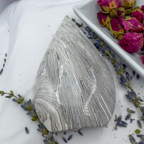 Polished Morocco agate stone with intricate gray and white banding on white fabric with dried flowers