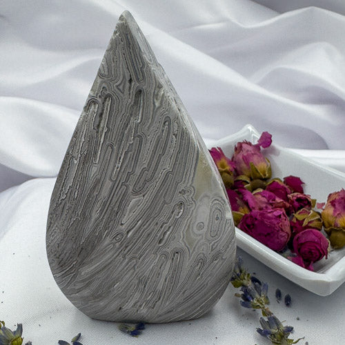 Davinas Morocco agate stone polished teardrop with intricate gray patterns and dried flowers background