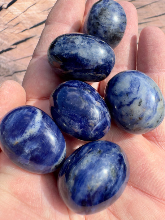 Hand holding polished natural blue sodalite stone pieces with deep blue and white patterns