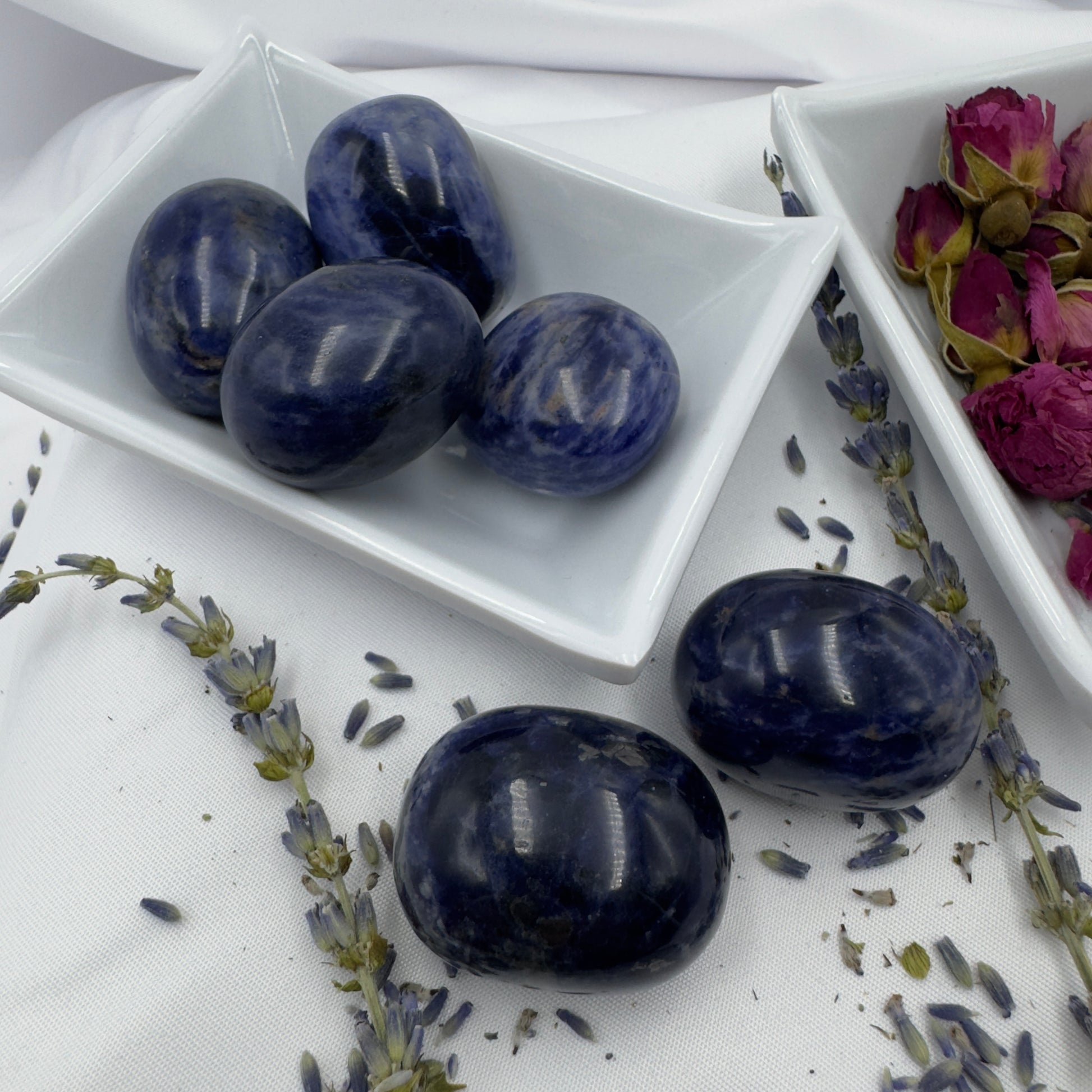 Davinas natural blue sodalite stone polished smooth displayed in white dish with dried flowers