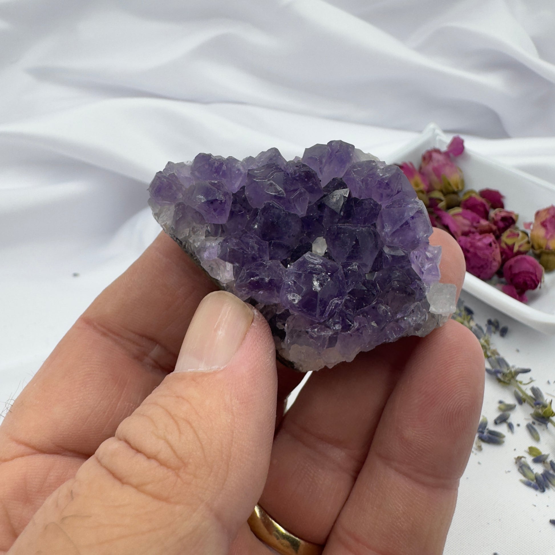 Hand holding premium amethyst clusters with purple crystal points and dried flowers in background