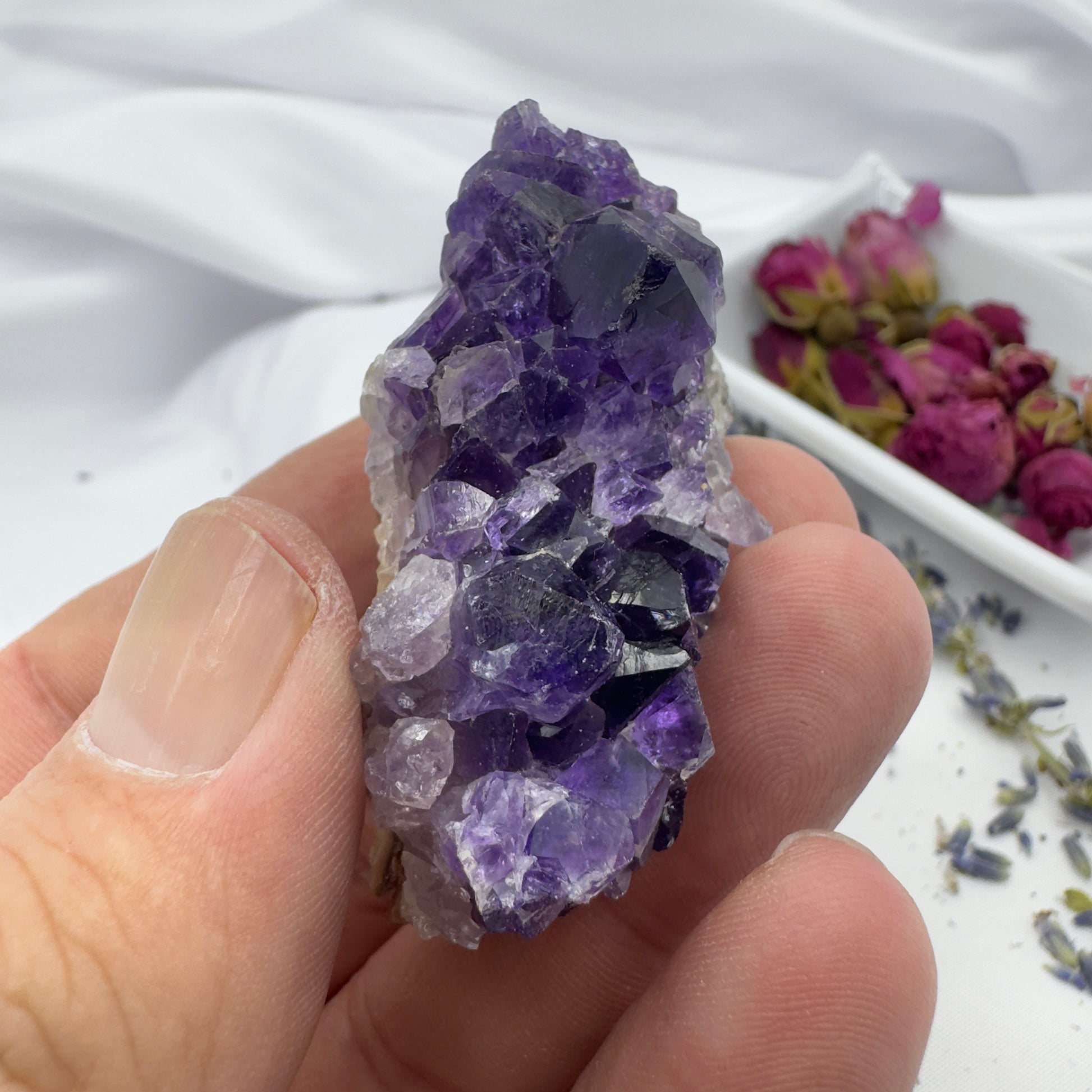 Close-up of a hand holding a raw amethyst crystal cluster with purple and clear crystals