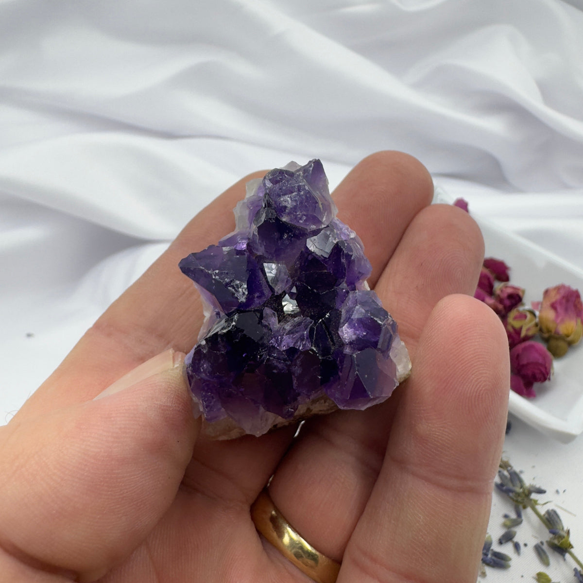 Davinas amethyst raw crystal cluster held in hand with purple crystals and rose petals in background