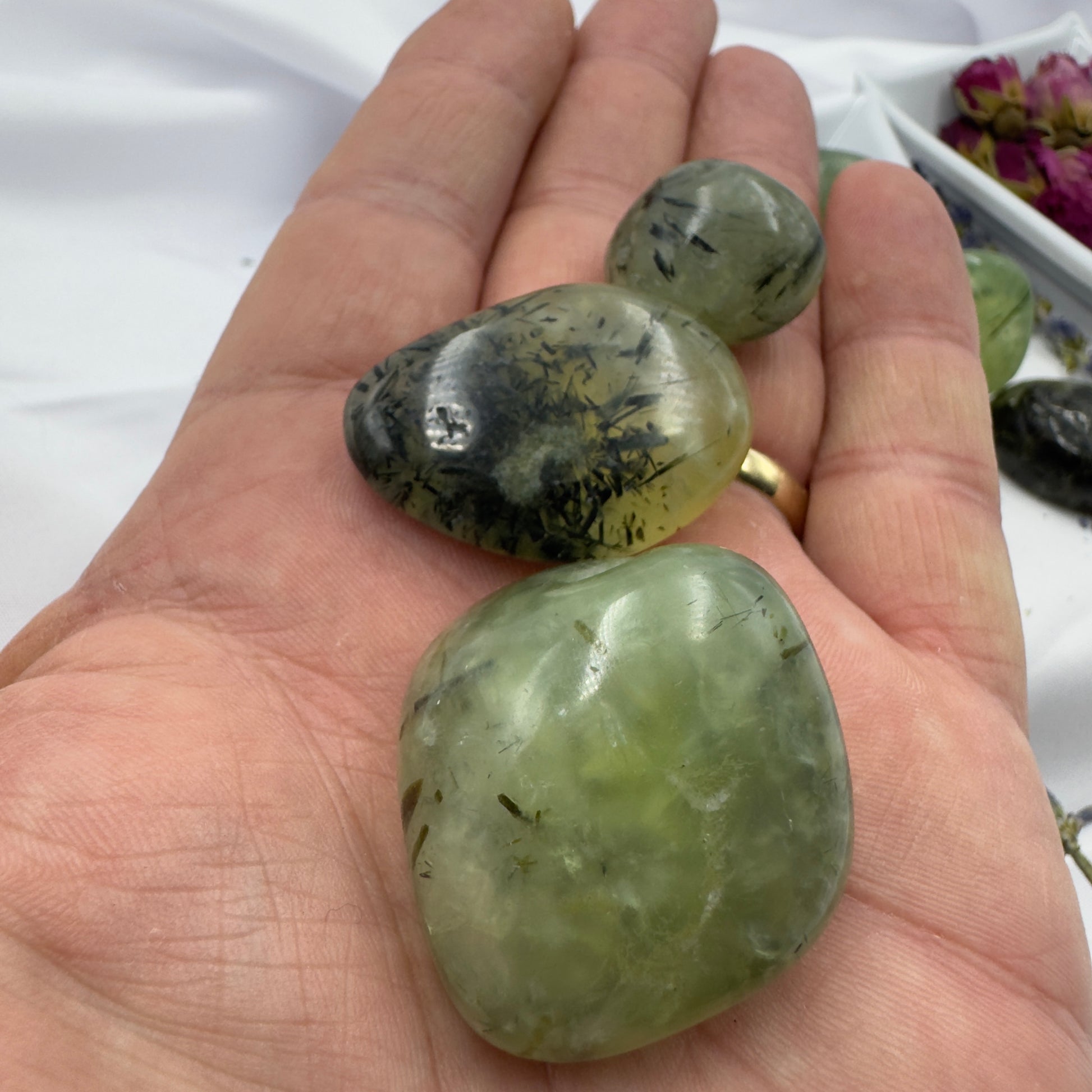 Hand holding three polished green prehnite tumbled stone pieces with natural inclusions