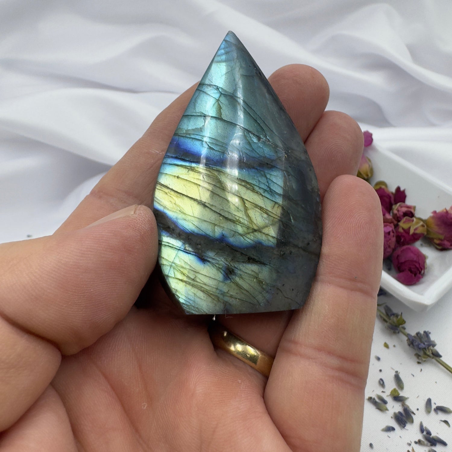 Hand holding a polished premium labradorite stone with vibrant blue and yellow flashes on a white background
