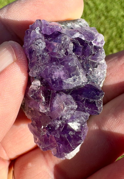 Davinas amethyst raw crystal cluster held between fingers with vibrant purple crystal formations